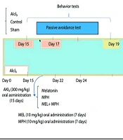 The Efficacy of Combined Melatonin and Methylphenidate in Attenuating Pyroptosis and Cognitive Deficits Induced by Aluminum Chloride Administration in BALB/C Mice