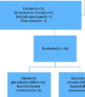 Pre-induction Versus Post-induction Erector Spinae Plane Block in Lumbar Spine Surgery: A Randomized Controlled Trial of Perioperative Outcomes