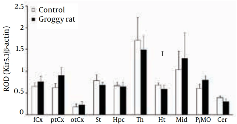 Regional Expression of Kir5.1 in Groggy Rats Kir5.1 expression was expressed as relative optical density (ROD) to β-actin. fCx, frontal cortex; ptCx, parieto-temporal cortex; otCx, occipito-temporal cortex; St, striatum; Hpc, hippocampus; Th, thalamus; Ht, hypothalamus; Mid, midbrain; P/MO, pons/medulla oblongata; Cer, cerebellum. Each value shows the mean ± SEM of five (Groggy) or six (control) animals.