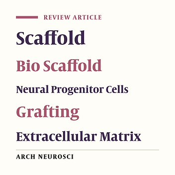 Scaffolds for Intracerebral Grafting of Neural Progenitor Cells After Cerebral Infarction: A Systematic Review