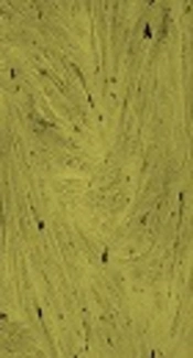 Cover image of the article: Comparison of Cell Proliferation and Adhesion of Human Osteoblast Differentiated Cells on Electrospun and Freeze-Dried PLGA/Bioglass Scaffolds
