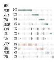 The Role of Next Generation Sequencing in Diagnosis of Brain Tumors: A Review Study