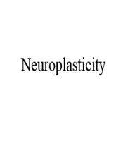 Can Adult Neurogenesis Be Considered as Neuroplasticity?