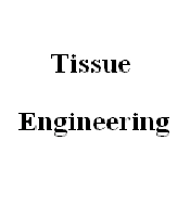 Scaffolds in Dental Tissue Engineering: A Review