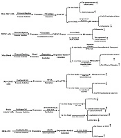 Mesenchymal Cell-Derived Exosomes as Novel Useful Candidates for Drug Delivery