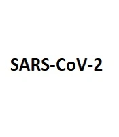 Blood Safety in SARS-CoV-2 Infection