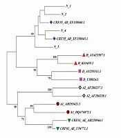 Non Detection of HIV-1 Proviral DNA in PBMCs of the Neonates Born to Iranian HIV-Infected Mothers in PMTCT Program