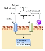 Bradykinin System: A Therapeutic Goal for COVID-19