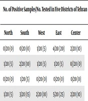 Is the Rattus norvegicus Population Playing a Role in the Transmission of Zoonotic Diseases to Children? A Pilot Study in Tehran, Iran