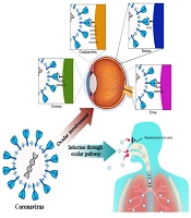 Updates on Coronavirus-Related Ocular Manifestations: From the Past to COVID-19 Pandemic
