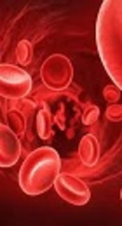 Red Cell Distribution Width Elevation and Sepsis in Pediatric Critically Ill Patients