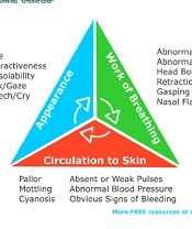 Cover image of the article: Assessment of the Value of the PAT as the First Step in the Triage Process in a Pediatric Emergency Room