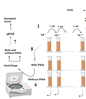 Cover image of the article: Effect of Propidium Monoazide in the Detection of Enterotoxigenic Escherichia coli in the Pediatric