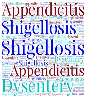 Acute Perforated Appendicitis Due to Shigella flexneri; A Rare Case Report