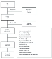 Detection of Non-typeable Haemophilus influenzae as a Causative Pathogen of Community-Acquired Pneumonia in Vietnamese Children