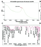 Design and Evaluation of Innovative Loop-Mediated Isothermal Amplification-Lateral Flow Dipstick Kits for Advanced Detection of HPV16 and HPV18