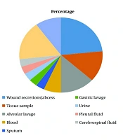 Prevalence and Microbial Associations in Pediatric Chronic Granulomatous Disease: A Retrospective Case Series at Mofid and Masih Daneshvari Hospitals (2014 - 2019)
