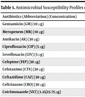 Unexpected Clinical Course in Neonatal Sepsis: A Case of Escherichia coli and Pseudomonas aeruginosa Co-infection