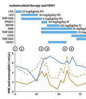 A Case of Skin and Soft Tissue Infection Complicated by Infectious Tenosynovitis Caused by Mycobacterium fortuitum in an Immunocompetent Child