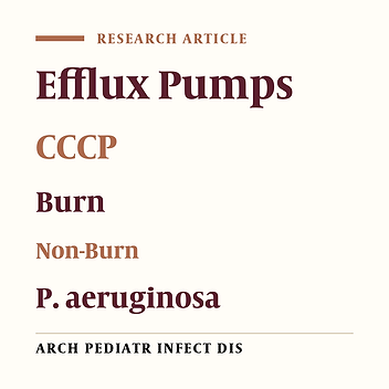 Comparison of Efflux Pump Involvement in Antibiotic Resistance Among Pseudomonas aeruginosa Isolates of Burn and Non-Burn Patients