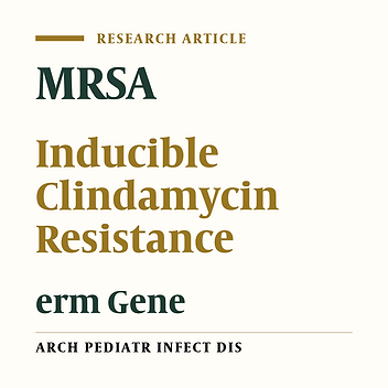 Molecular Detection of Macrolide and Lincosamide-Resistance Genes in Clinical Methicillin-Resistant Staphylococcus aureus Isolates from Kerman, Iran