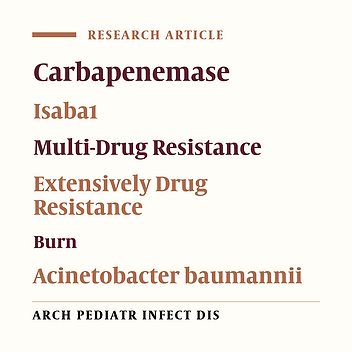 Detection of ISAba1 in Acinetobacter baumannii Strains Carrying OXA Genes Isolated From Iranian Burns Patients