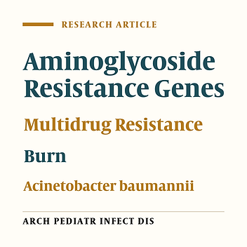 Distribution of Aminoglycoside Resistance Genes Among Acinetobacter baumannii Strains Isolated From Burn Patients in Tehran, Iran