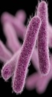 Prevalence and Antibiotic Susceptibility Patterns of <i>Salmonella</i> and <i>Shigella</i> Species Isolated from Pediatric Diarrhea in Tehran