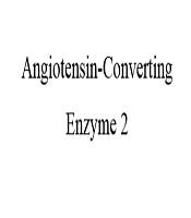The Potential Use of Persian Herbal Medicines Against COVID-19 Through Angiotensin-Converting Enzyme 2