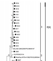 Cover image of the article: Unexpected Role of Rotavirus G3P[8] Infection in Causing Severe Diarrhea in a Major Tertiary Referral Hospital in the Prevaccine Era