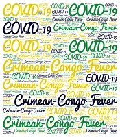 Is the Reduced Incidence of Crimean-Congo Hemorrhagic Fever Related to the Preventive Measures of COVID-19?