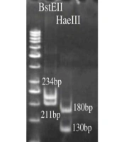 Mycobacterium simiae Isolates Subtypes and Molecular Drug Susceptibility in Iran