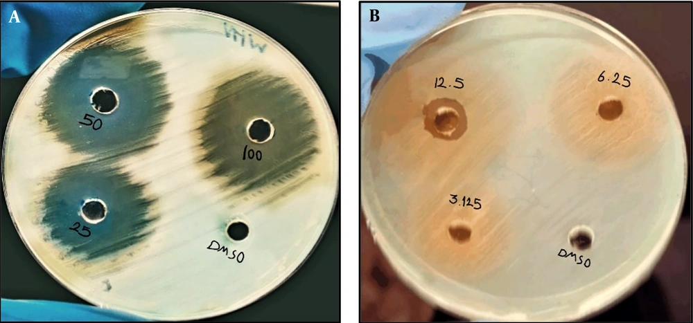 Effect of Ethanolic Extract of Syzygium aromaticum Plant Against  Enterococcus faecalis Isolated from Women with Urinary Tract Infections
