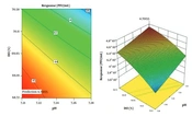 Optimization of Virus Yield as a Strategy to Increase the Efficiency of Rabies Vaccine by BHK-21 Cells in a Bioreactor