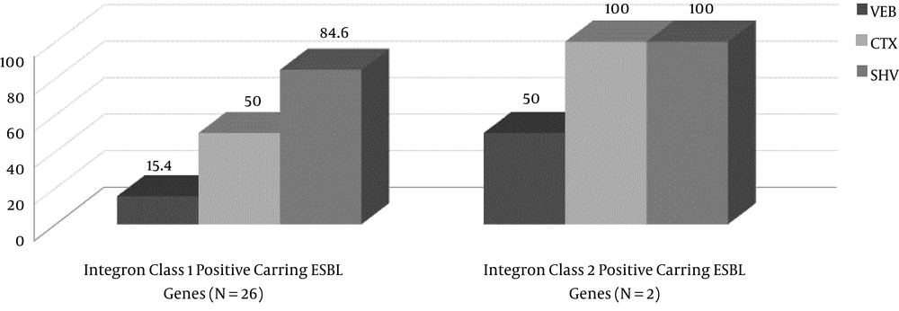 Incidence of ESBL Genes in Intergron Positive Isolates Incidence of ESBL Genes in Intergron Positive Isolates
