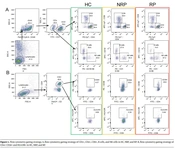 Cover image of the article: Analysis of Differences in Lymphocyte Subsets and CD4+ T Cells Immune Activation Between Re-detectable Positive and Non-re-detectable Positive COVID-19 Convalescent Patients