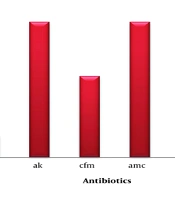Investigation of the Most Common Specimens in the Pediatric Hospital in Kirkuk and the Epidemiology of Predominant Bacteria Using Multiple Antibiotic Resistance Indices