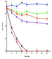 Synergistic Effects of Antimicrobial Peptide Dendrocin‑ZM1 Combined with Conventional Antibiotics Against Methicillin-Resistant Staphylococcus aureus