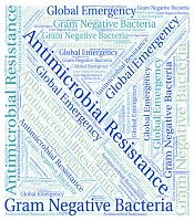 Antimicrobial Resistance as Global Emergency Action Plan