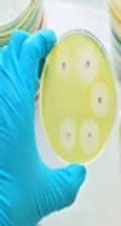Cover image of the article: Antimicrobial Susceptibility Pattern of Six Threatening Pathogens at Mofid Children’s Hospital, Tehran, Iran