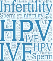 Is HPV Controversial Suspicious of Male Infertility?