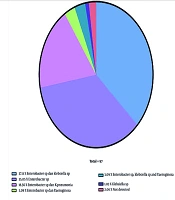 Identification of Carbapenemase Gene in Sinks of the General Hospital in Makassar City, Indonesia