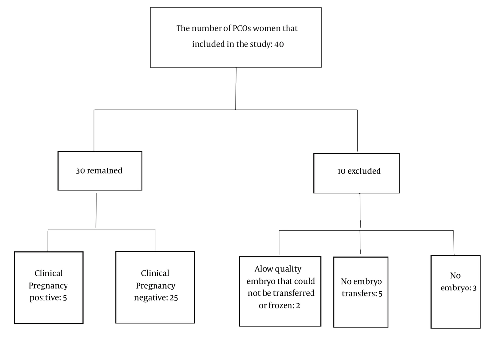 The diagram of study population. It shows the total number of screened individuals, the number meeting the inclusion criteria, exclusions with reasons, and the final number of women with polycystic ovary syndrome (PCOS) enrolled in the analysis. The diagram of study population. It shows the total number of screened individuals, the number meeting the inclusion criteria, exclusions with reasons, and the final number of women with polycystic ovary syndrome (PCOS) enrolled in the analysis.