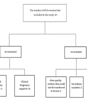 Investigating the Microbiota of Ovarian Follicular Fluid and Vaginal Secretions in Infertile Women with Polycystic Ovary Syndrome: A Prospective Cohort Study