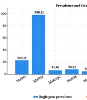 Comprehensive Phenotypic and Molecular Analysis of β-lactamase Enzymes and Genetic Diversity in <i>Proteus mirabilis</i> Clinical UTI Isolates