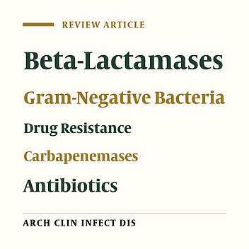 Laboratory Detection of Carbapenemases in Gram-Negative Bacteria