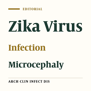Update on Zika Virus Infections