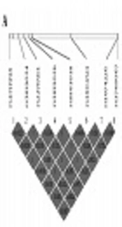Interleukin-17A Genetic Polymorphisms as a Prognostic Markers for Resistence to Visceral Leishamniasis in the Iranian Population