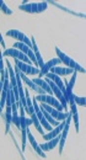 <i>In vitro</i> Antifungal Susceptibility Testing of Clinical and Environmental <i>Fusarium</i> Isolates in Iran