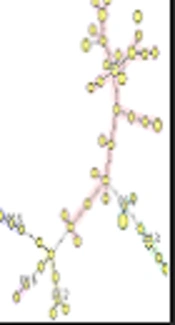 Staphylococcus epidermidis, Clonality and Accessory Gene Regulator Diversity in Clinical Isolates